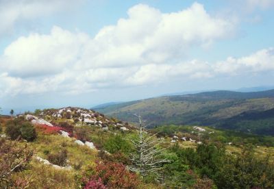 Virginia Highlands
View from Wilburn Ridge,
9-09
