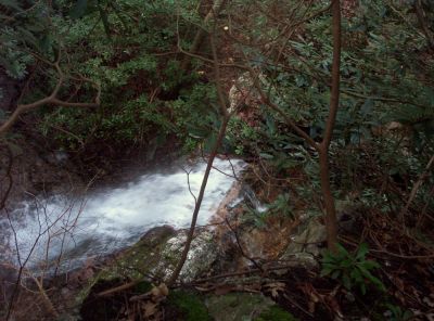 Lilybeth Falls
View from Cliff above Lilybeth Falls,
November, 2009
