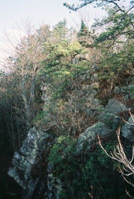 Buffalo Mountain
'White Rocks Cliffs', April 2009
