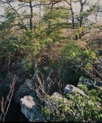 Buffalo Mountain
'White Rocks Cliffs', another view, April 2009
