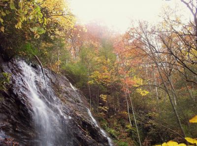Wilderness Falls
Sampson Wilderness--October 2009
