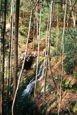 'Forgotten Falls'
Set of waterfalls above the 'upper' Sill Branch Falls (north fork)
