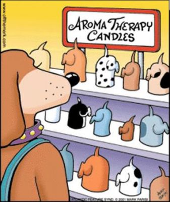 Aroma Therapy Candles
...for dogs.
