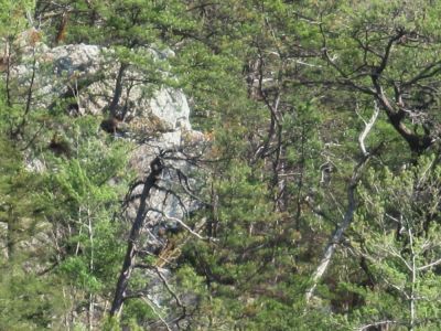 Jones Branch Overlook
3-18-10
