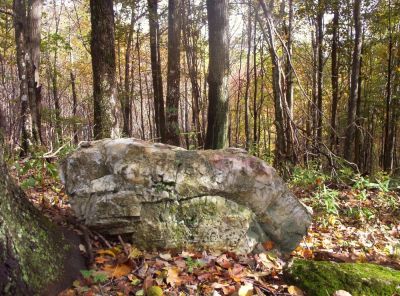 interesting sit-rock
On the trail near Street Gap,
10-09
