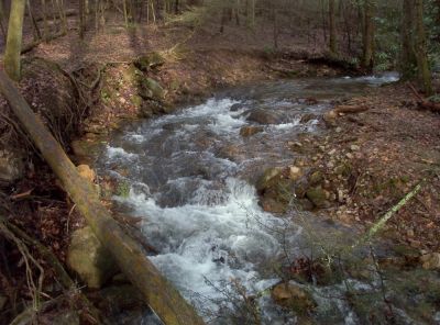 Jones Branch
near campsite on Unaka Mountain,
December 2009
