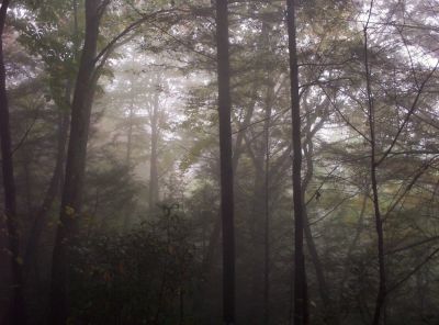 In the clouds near Martin's Creek
10-09
