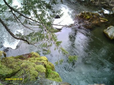 The Chasm on the Rogue River
Photo courtesy of Betty Sabatini
