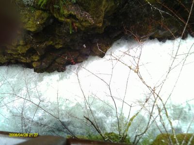 The Chasm--Rogue River
Photo courtesy of Betty Sabatini
