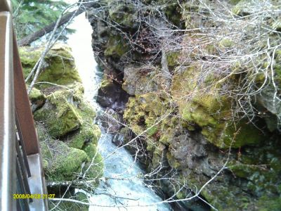 The Chasm--Rogue River
Photo by Betty Sabatini
