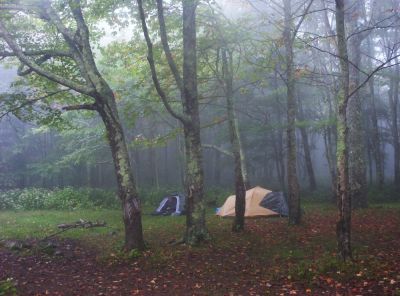Stealth Camp
Near Deep Gap on Mount Rogers,
9-09
