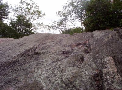 High Rocks
The top of the rock
July 2009

