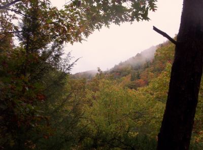 View looking into south fork of Jones Branch
From Appalachian Trail, 10-09
