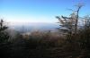 1757,_Middle_Spring_Ridge_Trail,_12-17-2011.jpg