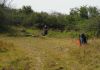 3199_Rat_s_Birthday_Hike_2013.jpg