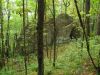 3240_Rat_s_Birthday_Hike_2013.jpg