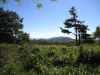 3366,_view_from_meadow_on_Coldspring_Mnt,_9-4-10.jpg