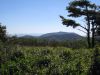 3367,_view_from_meadow_on_Coldspring_Mnt2,_9-4-10.jpg