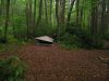 3468rszd_Rat_s_Birthday_Hike_2013.jpg