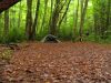 Filename=3477_rszd_Rat_s_Birthday_Hike_2013.jpg
Filesize=408KiB
Dimensions=1200x900
Date added=Jan 11, 2018 3477_rszd_Rat_s_Birthday_Hike_2013.jpg