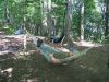 3527,_Rat_in_hammock,_camp_below_Max_Patch,_9-10.jpg