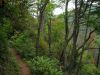 3534_rszd_Rat_s_Birthday_Hike_2013.jpg