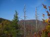 4233,_View_from_Whitehouse_Mnt_in_Rocky_Fork,_10-2010.jpg