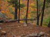 4554,_Cliff_s_Edge_View,_Sill_Branch_Overlook,_10-31-2013.jpg