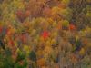 4567,_Cliff_s_Edge_View,_Sill_Branch_Overlook,_10-31-2013.jpg