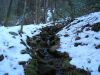 5754,_small_tributary_to_upper_Devil_s_Creek,_1-29-11.jpg