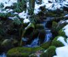 5787,_hollow_log_in_cascades_on_upper_Devil_s_Creek,_1-29-11.jpg