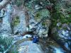 6323,_rat_on_top_of_Waterfalls_in_Devils_Creeks,__2-6-11.jpg