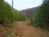 7308,_trail_to_pond_on_Higgins_Ridge,_Rich_Mnt,_3-5-11.jpg