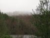 7340,_thick_clouds_in_trees_above_Pond_on_Higgins_Ridge,_Rich_Mnt,_3-5-11.jpg