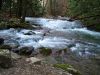 7500,_the_confluence_of_Clarks_Creek_and_Sill_Branch,_3-11-11.jpg