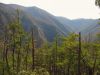 7848,__View_of_Buckeye_Falls_and_Butte_of_Rich_Mnt_from_Chigger_Ridge_Overlook,_3-12-11.jpg