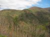 8527,_View,_Cowbell_Hollow_Trail,_4-16-2011.jpg