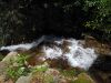 8975,_cascades_leading_to_upper_falls,_Gentry_Creek_Falls,_4-30-2011.jpg
