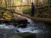 9864__Dan-o_log_walking___Little_Stony_Creek_Wilderness___VA_1-28-2017.jpg