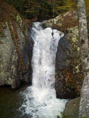 Big Creek Falls (NC) 
Photo by Rat
10-18-2009 

