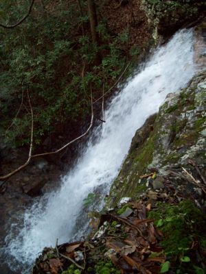 Lilybeth Falls
Photo by RAT 
11-14-2009
