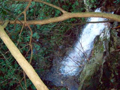 Lilybeth Falls
aka, 'Upper Devil's Fork Falls' in the Sampson Wilderness.
Photo by RAT 
11-14-2009
