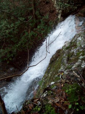 Lilybeth Falls
aka, 'Upper Devil's Fork Falls' in the Sampson Wilderness.
Photo by RAT 
11-14-2009
