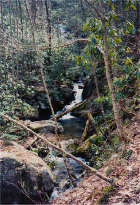 Devils Fork 
Small falls in between uppers and lower one
