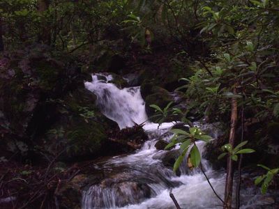 Jones Branch Falls
cascades are part of the trail up to the falls

