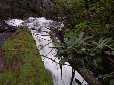 Jones Branch Falls
near the top right side of falls...
