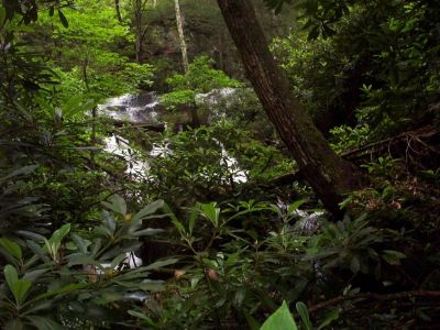 Jones Branch Falls
June  18, 2009
