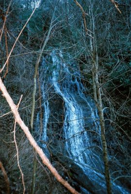 Chigger Branch Falls
85-foot, cascading falls...
also known as 'Delsatch Falls'.
Spring 2009
