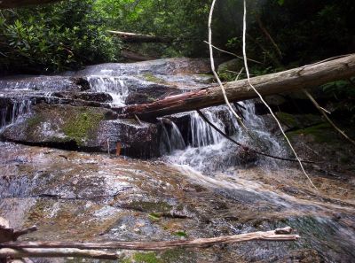 Mill Creek Falls
