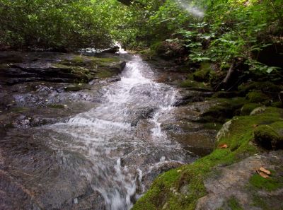 Mill Creek Falls
2009
